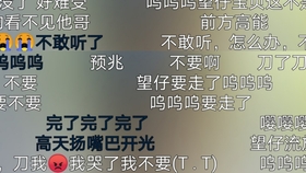 傲娇与偏见的简谱_傲娇与偏见(3)