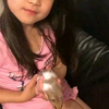 小仓鼠