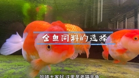 e7fe6364240ffc5615ad7b39264c7dddaa7ca1a1.jpg@280w_158h_1c_100q.jpg