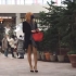 Jiyoon—韩国女装大佬肉丝细高跟逛商城