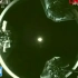 【航天历史】太空之吻神舟八号首次交会对接2011.11直播画面