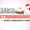 【科普】速生鸡用了激素和抗生素吗？（中国科普网