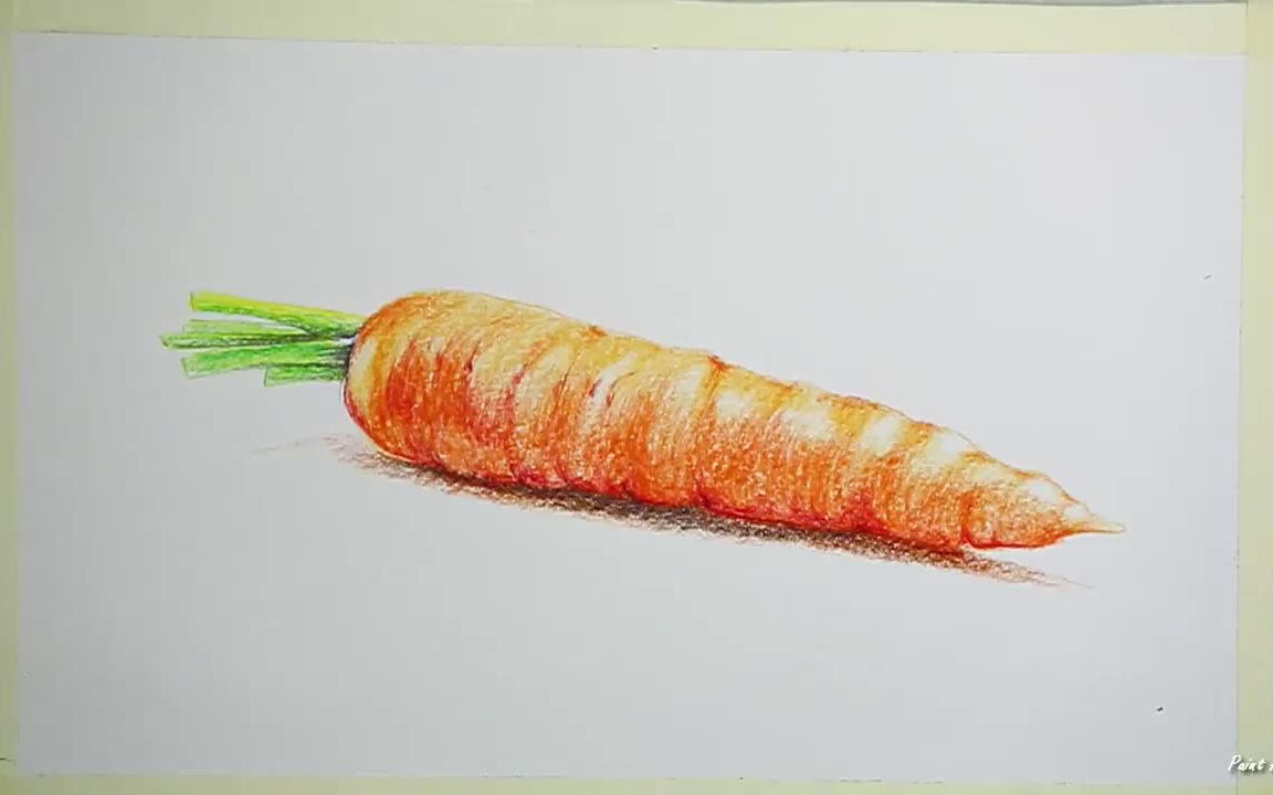 【彩铅】用彩铅画一个写实胡萝卜,paint academy分享