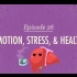 【10分钟心理学速成课】第26集 - 情绪，压力与健康