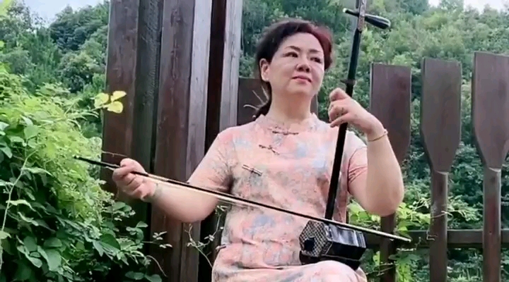 二胡巜军中绿花