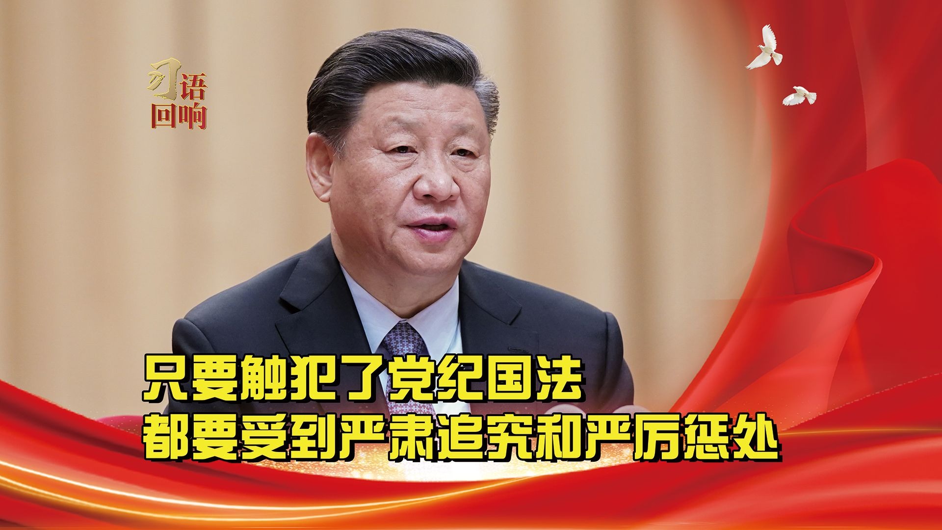 习语回响丨只要触犯了党纪国法，都要受到严肃追究和严厉惩处