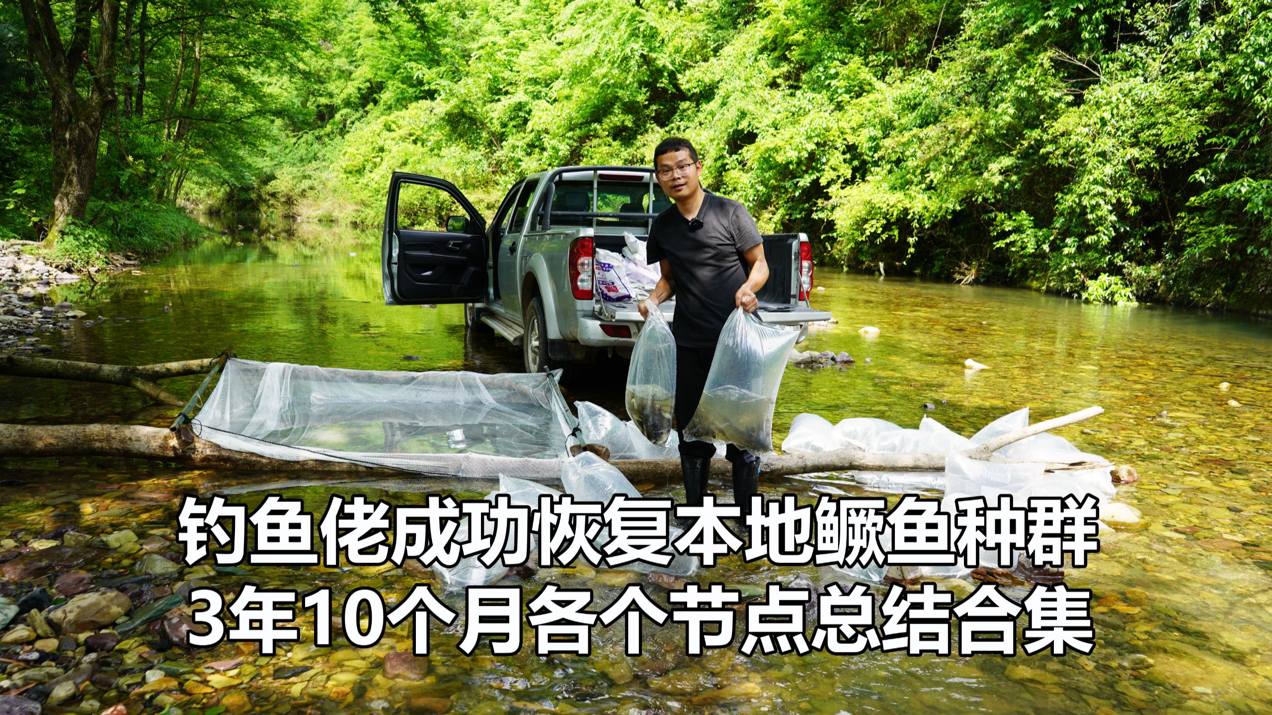 钓鱼佬用时3年10个月，成功恢复一条溪流的本地鳜鱼种群，终于实现在家门口就能吃到野生鳜鱼