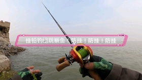 防挂底钓组真的有用吗 e86afc2f470b5f33bf40733f577f8aa53cfc445c.jpg@280w_158h_1c_100q.jpg