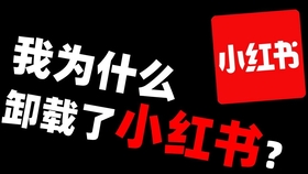 e872a5e8a326549e1de9ff9c9c37223a8d529bc8.jpg@280w_158h_1c_100q.jpg