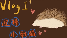 e87393efdfe8c197c2f57e753fc0ecc62f50e922.jpg@280w_158h_1c_100q.jpg