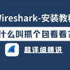 【附安装包】B站精选Wireshark抓包教程，学完别去做坏事！超详细教程，从入门到精通