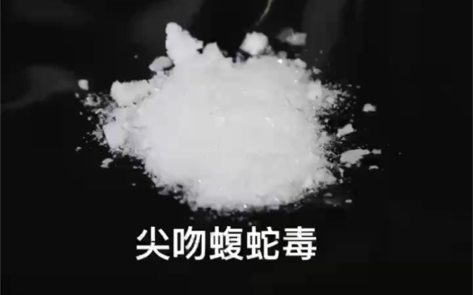 常见的蛇毒照片