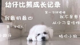 e89fe085bf74bc3eadb458afd5ec2b9910060898.jpg@280w_158h_1c_100q.jpg