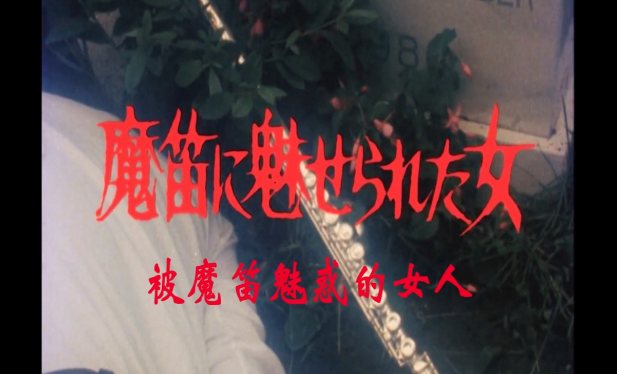 【高木彬光推理剧场】侦探神津恭介的杀人推理系列3 被魔笛魅惑的女人 （1985）