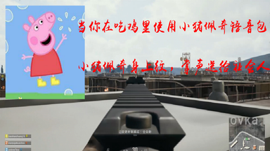 当你使用<em class="keyword">小猪佩奇语音包</em>去玩吃鸡