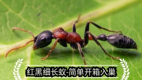 e8a55bf7296f260827cbffce151ae9cd7c0ff7e8.jpg@280w_158h_1c_100q.jpg
