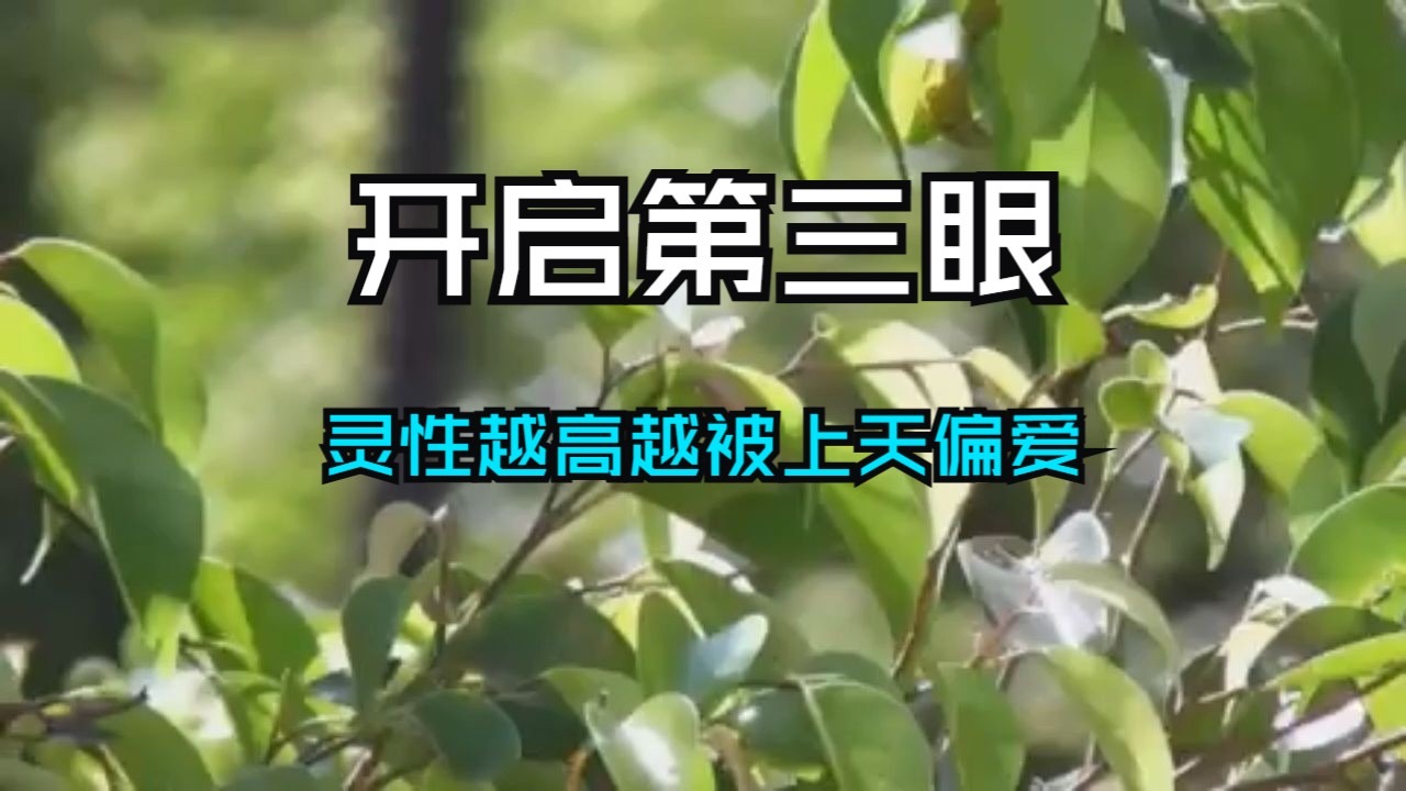 灵性越高越被上天偏爱！只需开启第三眼，便能看见宇宙高维的全貌，你本就不是凡人，是被选中的天选之子！