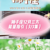 狮子座12月三方能量指引（3/3集）#狮子座#星座#塔罗#情感