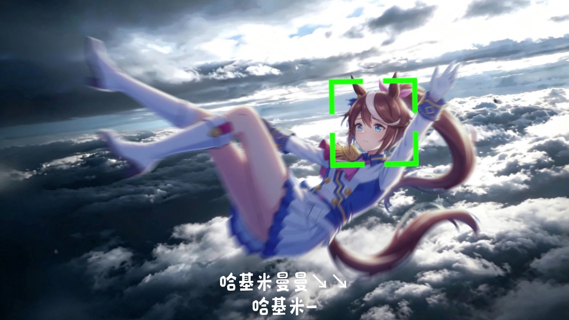 【Hold On】哈基米の跌落神坛