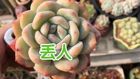 e90707c1ac17fd4f73f140a5278cf8fa7fbda6c8.jpg@280w_158h_1c_100q.jpg