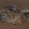 【ZBrush】地形岩石模型与纹理完整制作流程教程(中英双字