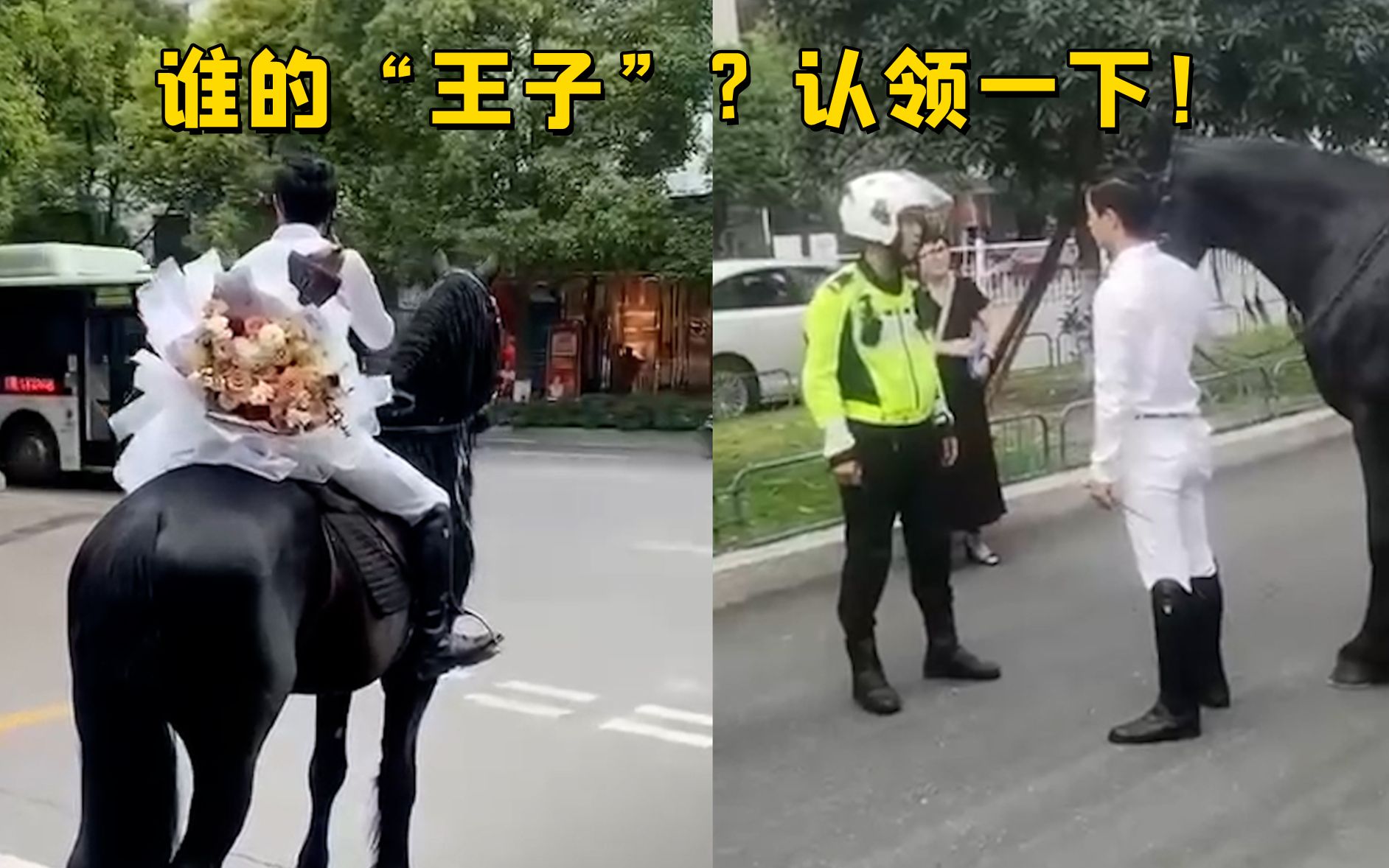 “白马王子”翻车！“520”男子一袭白衣骑马上街送花 被交警拦停