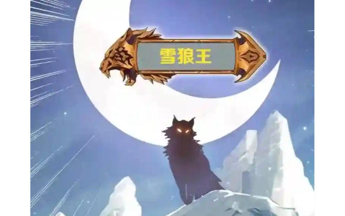 坐骑雪狼王那我就收下了