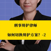 刑事律师李扬博士：刑事辩护律师如何切换辩护方案