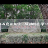同学聚会跟拍