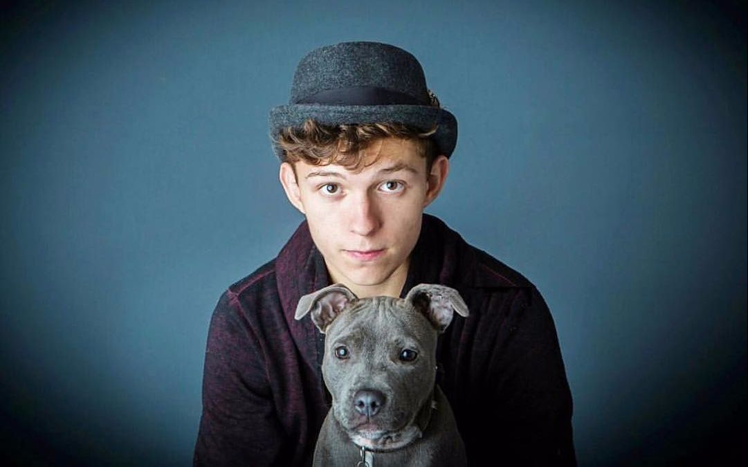 【Tom Holland 荷兰弟】荷兰弟与他那让人羡慕的狗 Tom holland u0026 Tessa The Dog Cute Moments
