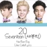 Seventeen 20 歌词分配 （vocal team）