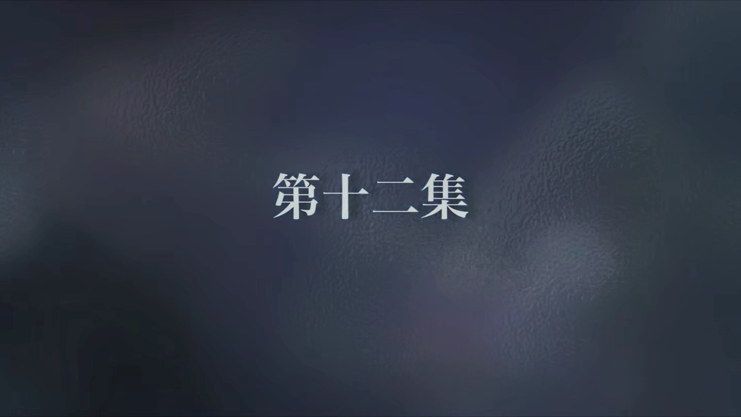 第12集（完整缓存版）