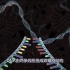 基因编辑技术 CRISPR-Cas9，看了好几遍