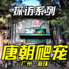 探访系列-唐朝爬宠
