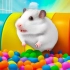 小仓鼠历险记：糖果主题迷宫逃脱，贪吃的仓鼠能经受糖果诱惑吗？