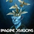 Shots (Broiler Remix)----Imagine Dragons/Broiler    纯伴奏