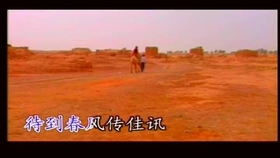 大漠红妆刀郎曲谱_大漠红装刀郎
