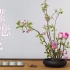 草月流大师慷慨献技，让你见识日本花艺的真正实力