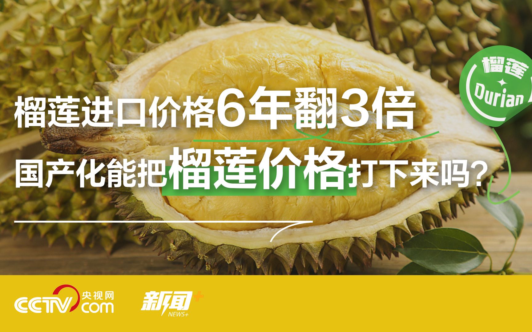 中国人有多爱吃榴莲？全球超三分之二榴莲被中国人吃掉