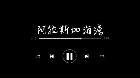 阿拉斯加的海湾曲谱_阿拉斯加海湾钢琴曲谱(2)