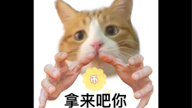 e9fb67125954e74c8fd9825653a79daec17c9fd3.jpg@280w_158h_1c_100q.jpg