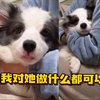 进来确诊狗性恋