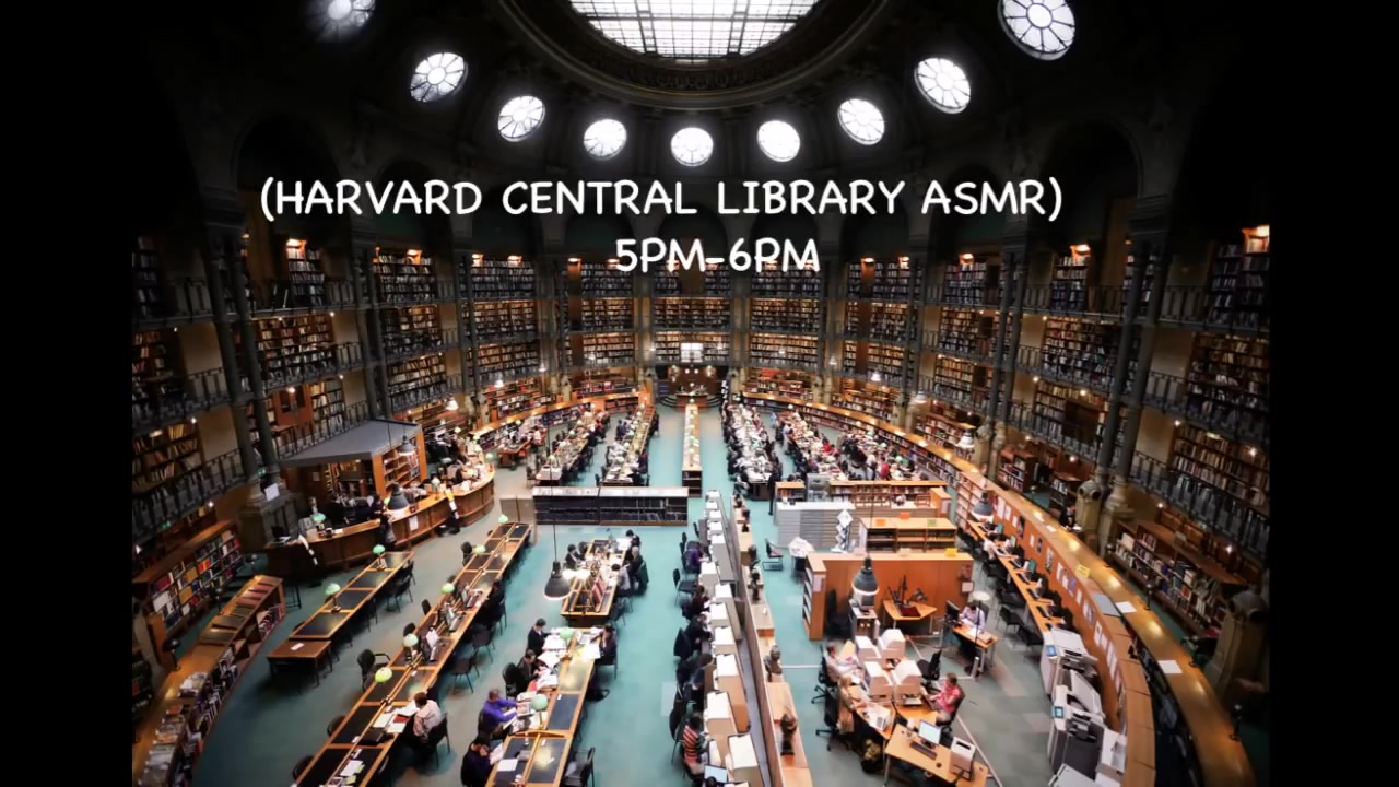 一小时哈佛大学图书馆白噪音翻书声轻微交谈声