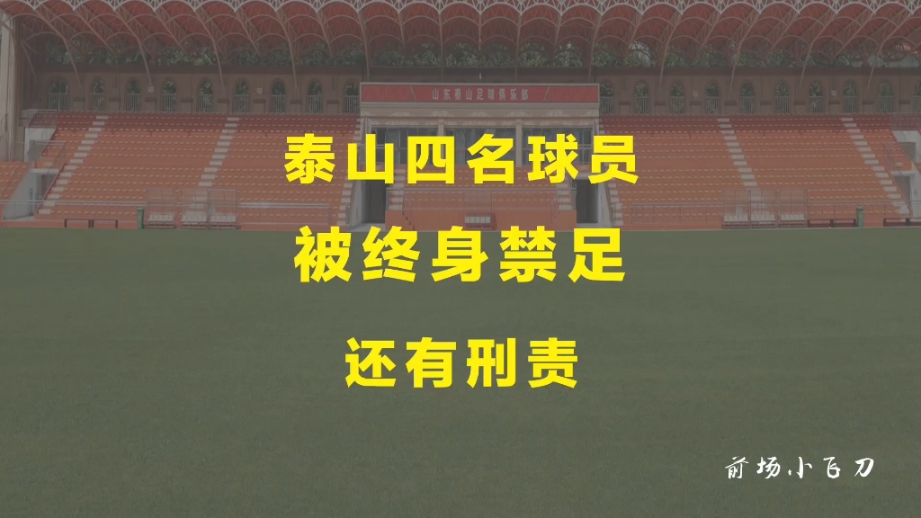 以金敬道为首的4为泰山球员被终身禁足,还要承担刑责哔哩哔哩bilibili