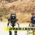 美军秘密研发战争机器人，测试过程中突发意外《战争机器人》