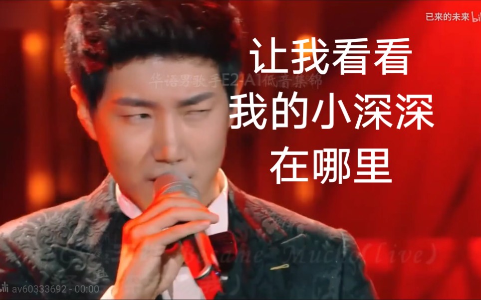 华语男歌手E2—A1低音合集—“低调”的歌声！