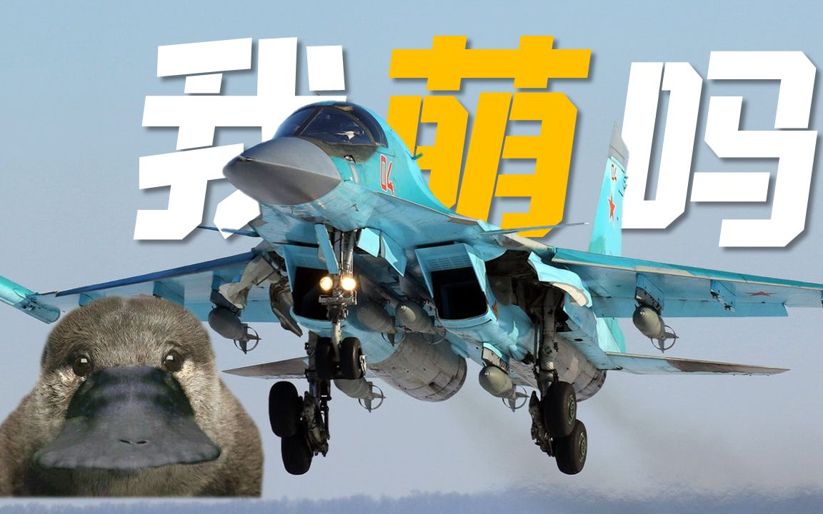 【4K】为什么只有俄罗斯需要苏-34 | 从伊尔2、苏-24到苏-34鸭嘴兽战斗轰炸机