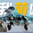 【4K】为什么只有俄罗斯需要苏-34 | 从伊尔2、苏-24到苏-34鸭嘴兽战斗轰炸机