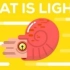 【中英字幕】光是什么 What is light?