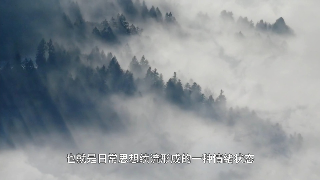 字幕下载